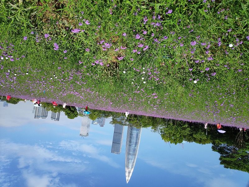 1603761149953049.jpg IMG_20201025_101657.jpg